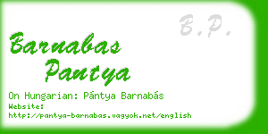barnabas pantya business card
