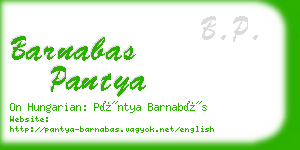 barnabas pantya business card